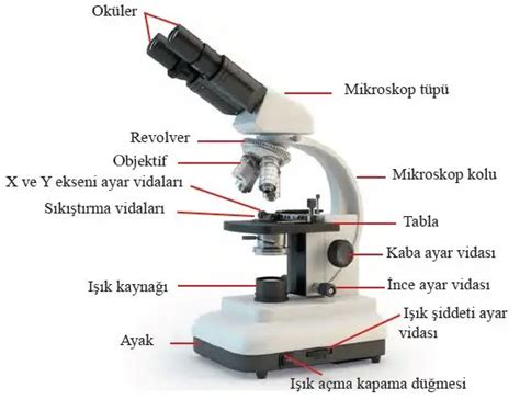 mikroskop çeşitleri ve özellikleri